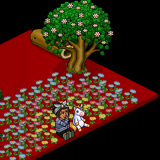 Photo by 89habbo101
