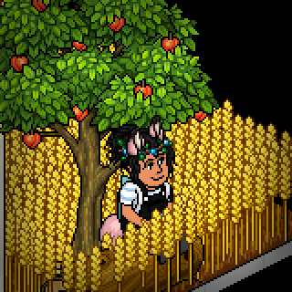 Photo by 89habbo101