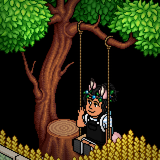 Photo by 89habbo101