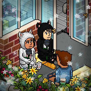 Photo by 89habbo101