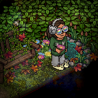 Photo by 89habbo101