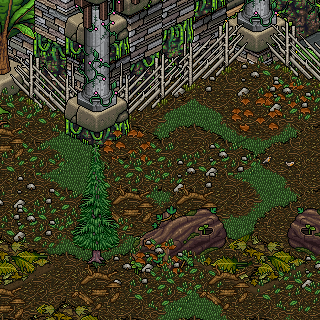 Photo by Psytec