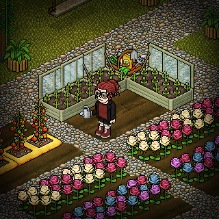 Photo by janpie6