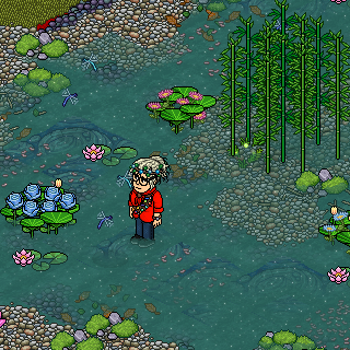 Photo by Haaiii3