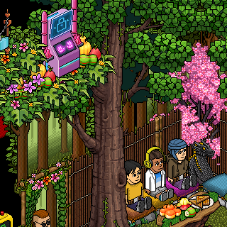 Photo by Habboh