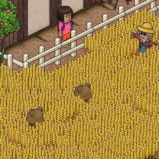 Photo by .:HabboBoss:.