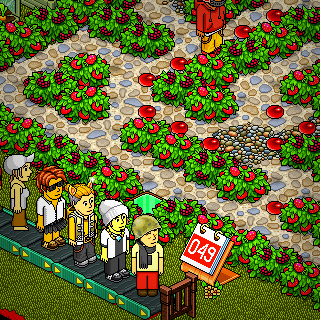 Photo by habbopunten