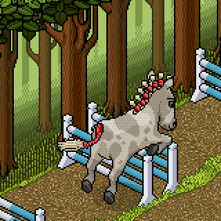 Photo by Horses