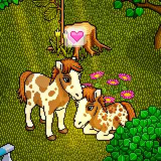 Photo by Horses