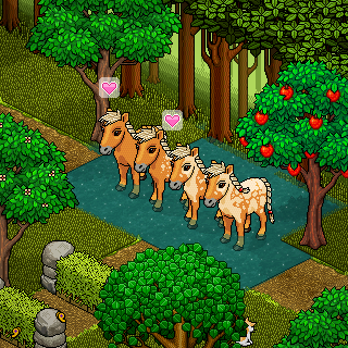 Photo by Horses