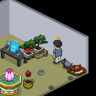 Photo by gentian691