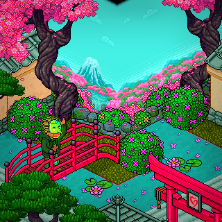 Photo by Roy