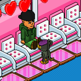Photo by Roy