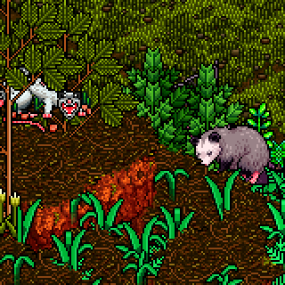 Photo by mirekis