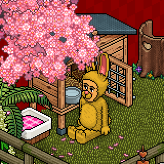Photo by Pikachu-.-