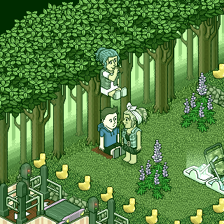 Photo by misses-habbo