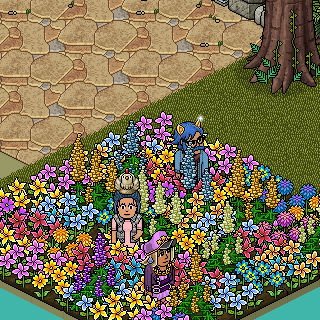 Photo by misses-habbo
