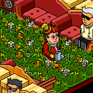 Photo by godhabbo