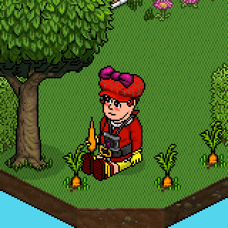 Photo by godhabbo