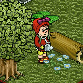 Photo by godhabbo