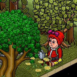 Photo by godhabbo