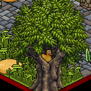 Photo by godhabbo