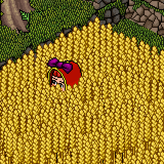Photo by godhabbo