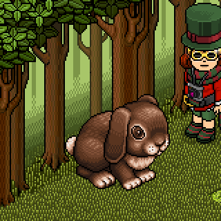 Photo by godhabbo