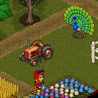 Photo by godhabbo