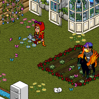 Photo by godhabbo