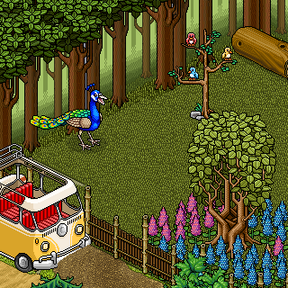 Photo by duck1
