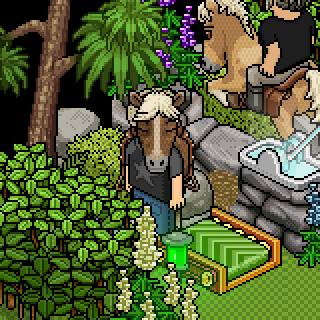 Photo by HaBBoGiRlY!