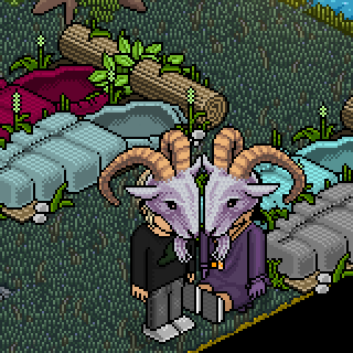 Photo by HaBBoGiRlY!