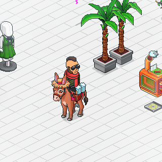 Photo by qasimslymani