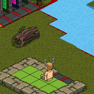 Photo by FasuIye