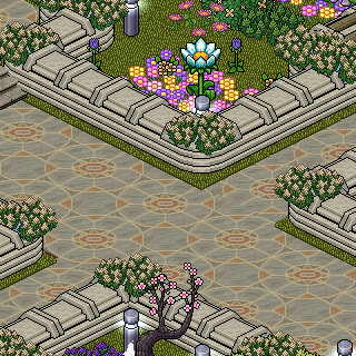 Photo by Arx