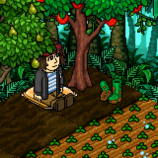 Photo by Mr.Habbo1