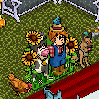 Photo by Mr.Habbo1