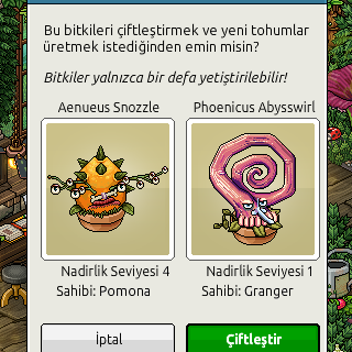 Photo by elifısparta