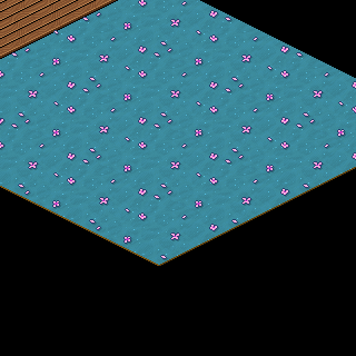 Photo by -Winter