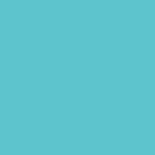 Photo by Curly