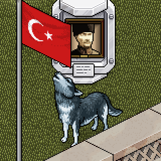 Photo by Recep-Ivedik