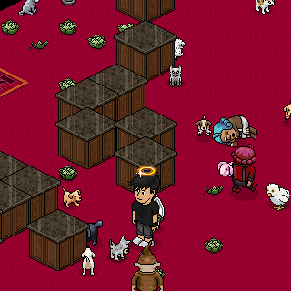 Photo by !Ares!