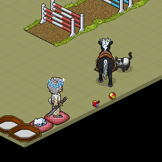 takleciiimehmet — Habbo fotoğrafı