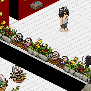 Habbo Fotoğrafı