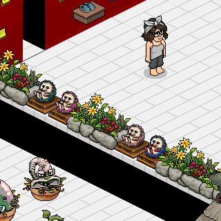 Habbo Fotoğrafı