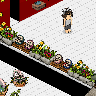 Habbo Fotoğrafı