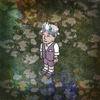 Photo by ilku