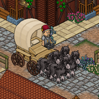 Photo by SemihRes1234