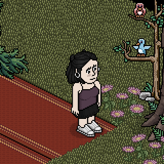 Photo by Luthy.